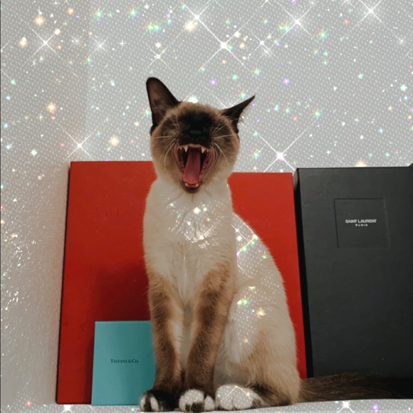 Meet your Posher - Picture 1 of 1